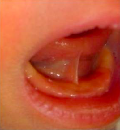 なごみ小児歯科クリニック 品川区の歯科 歯医者