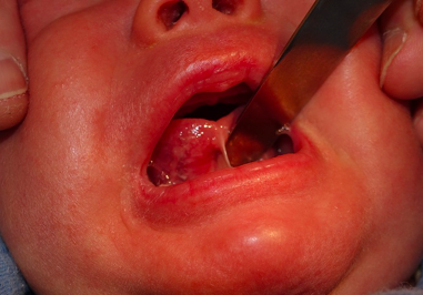 なごみ小児歯科クリニック 品川区の歯科 歯医者